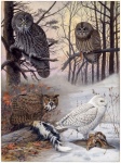 Vintage Owls Art Painting