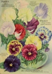 Vintage Garden Flowers Poster