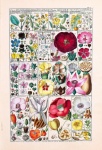 Vintage Illustration Flowers Art