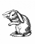 Vintage Illustration Bunny Clipart