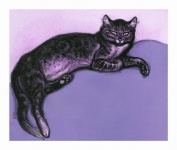 Vintage Illustration Art Cat