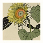 Vintage Art Flower Sunflower