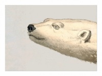Vintage Art Polar Bear Polar Bear