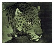 Vintage Art Jaguar Big Cat