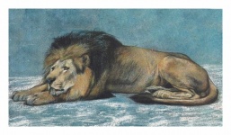 Vintage Art Lion Illustration