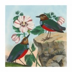 Vintage Art Birds Flowers
