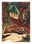 Vintage Poster Jaguar Jungle
