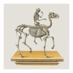 Vintage Skeleton Human Horse