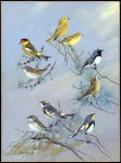 Vintage Bird Art Painting