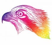 Bird Eagle Clipart Art