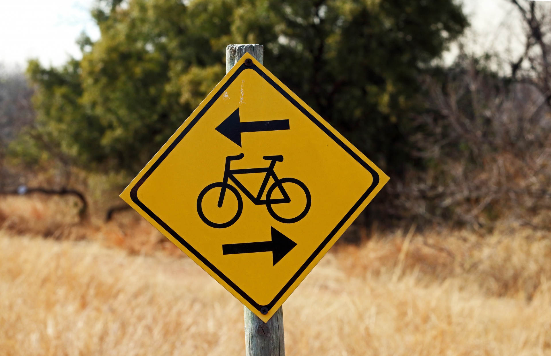 black and yellow signpost indicating a bike trail in nature