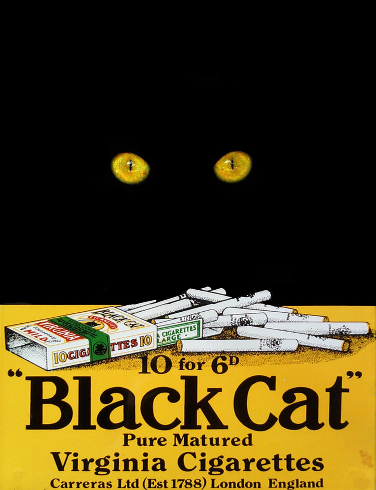 Famous Black Cat Poster