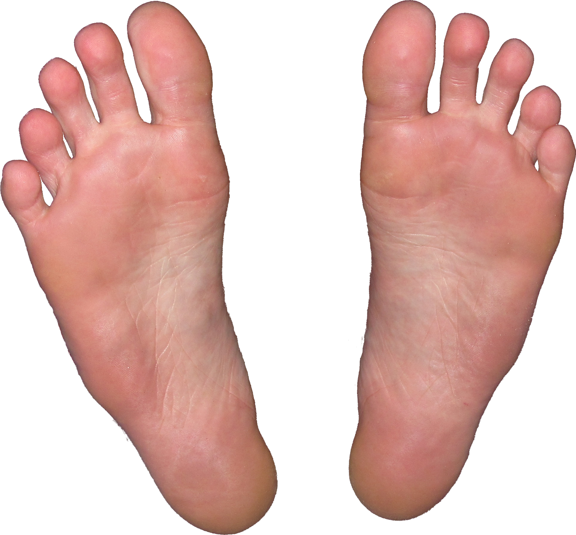 Feet Isolated Transparent
