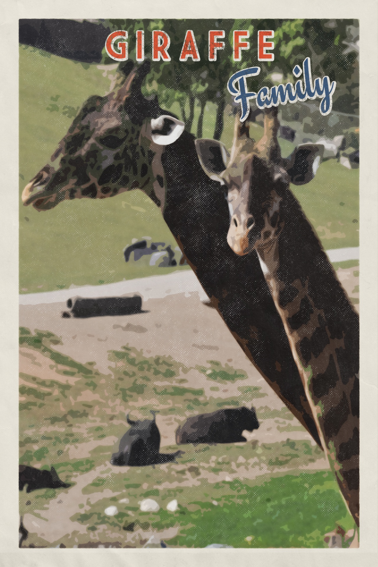 Giraffe Family Poster