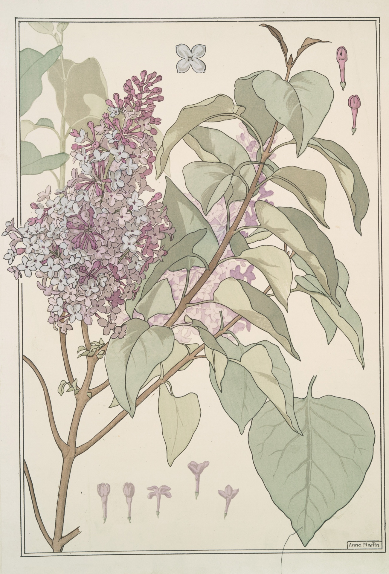 Lilac Flowers Art Nouveau