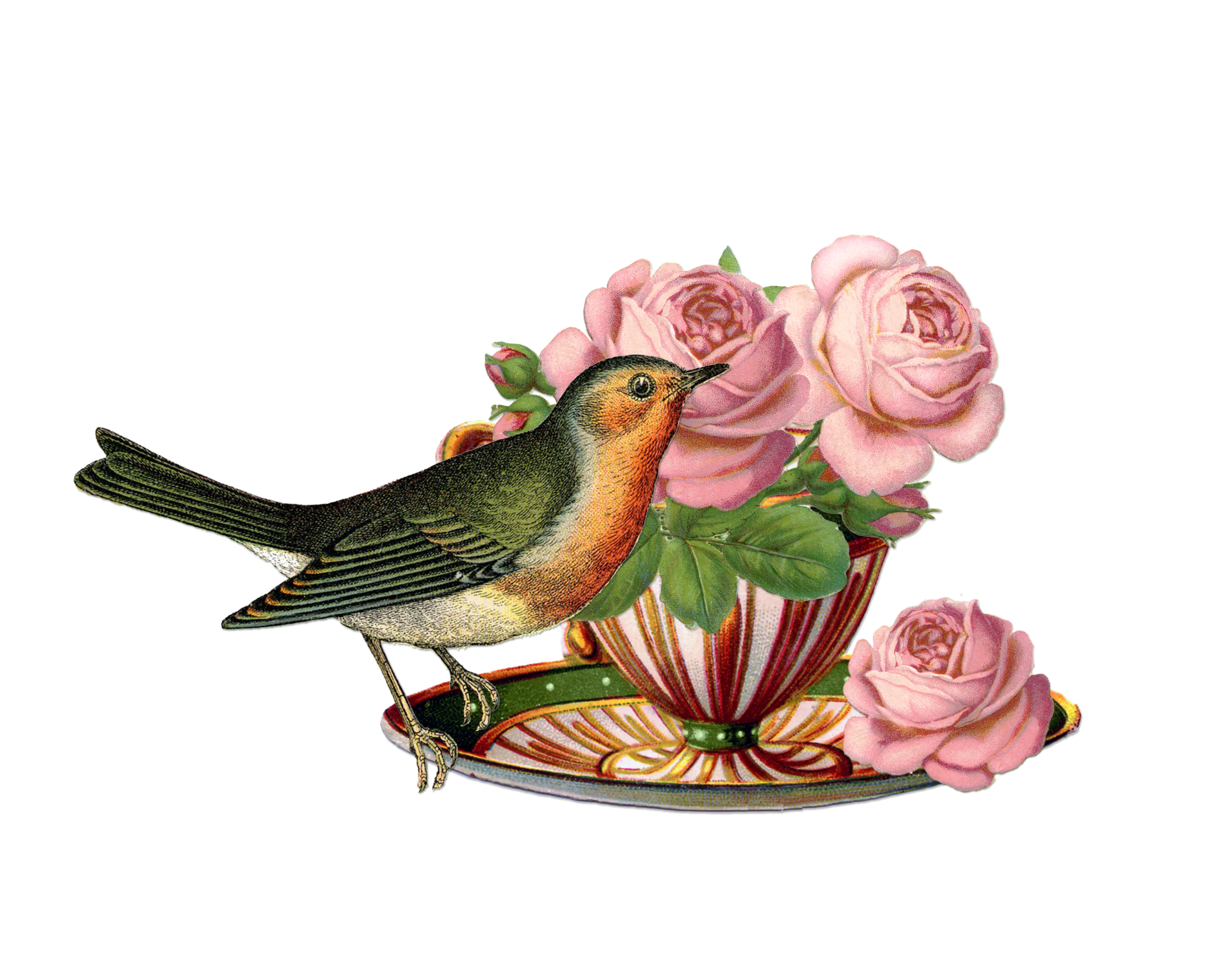 Teacup, Bird, Roses, Vintage