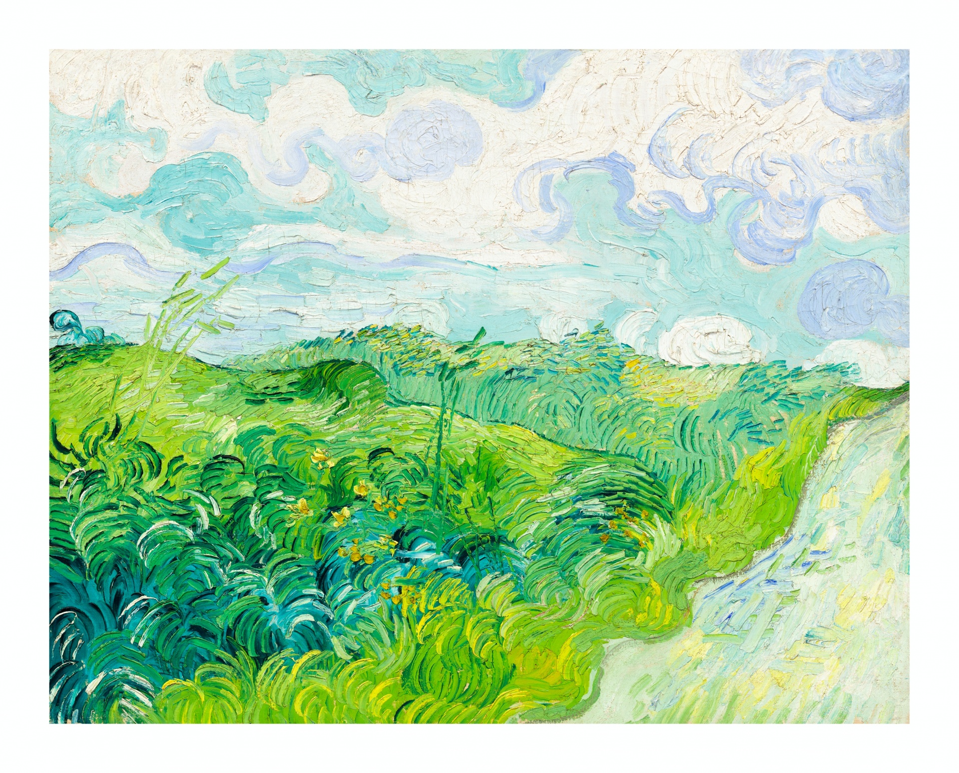 Van Gogh Cereal Field Cypresses