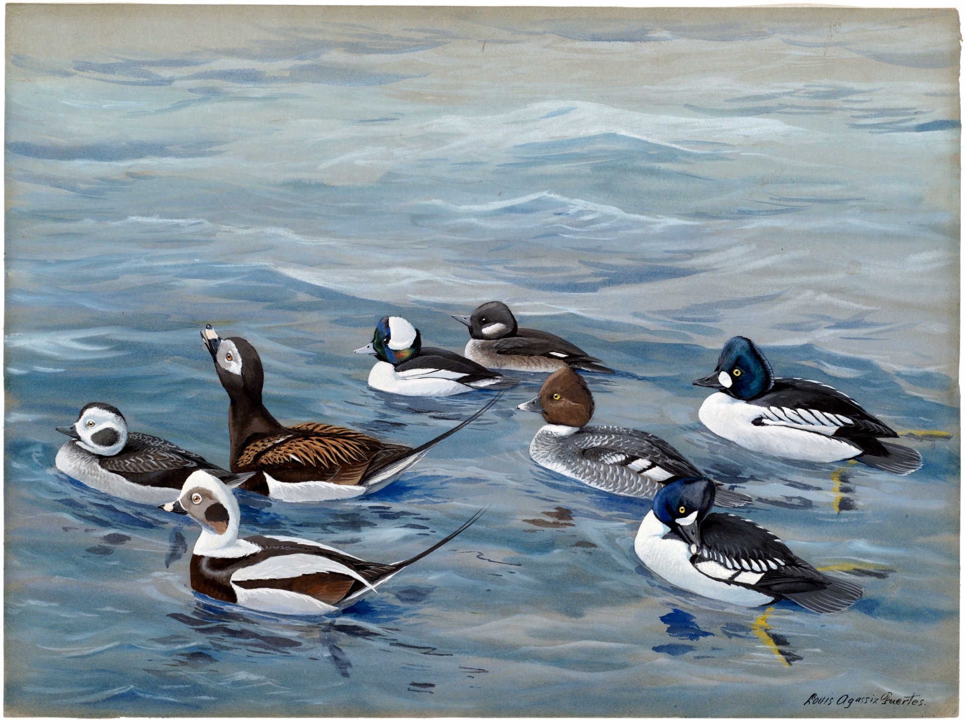 Vintage Ducks Art Painting