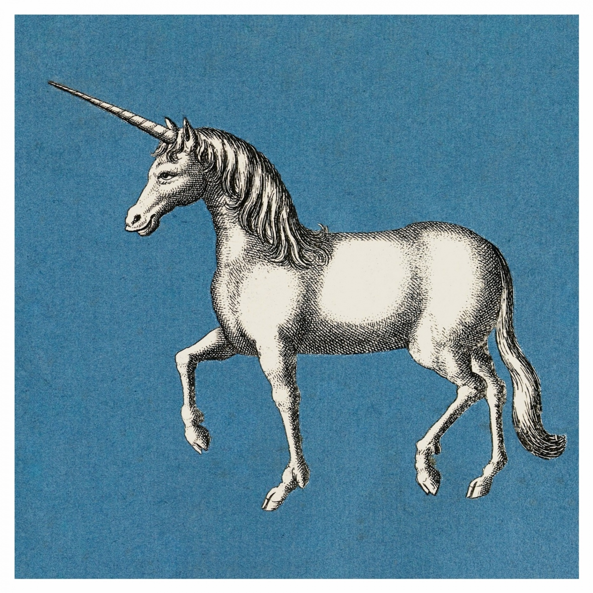 Vintage Art Unicorn Illustration
