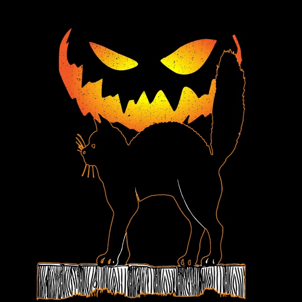 Gato negro halloween Stock de Foto gratis - Public Domain Pictures