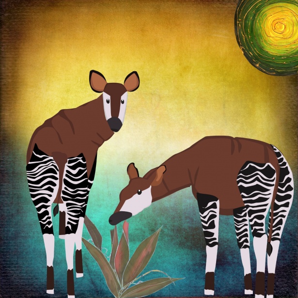 Zebra Legs Okapi Animal Free Stock Photo - Public Domain Pictures