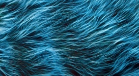 Abstract Fur Fibers Texture