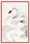 Aikido Vintage Illustration