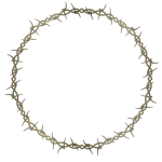 Barbed Wire Circle