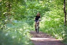 Bike, Girl, Woman, Forest, Edge