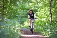 Bike, Girl, Woman, Forest, Edge