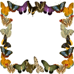 Butterfly Frame Art