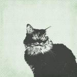 Cat Illustration Grunge Background