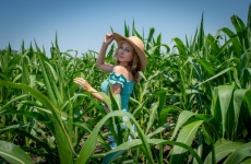 Corn, Corn Field, Field, Girl