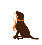 Dog Sitting Holding Leash