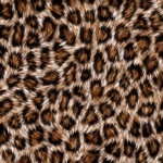 Fur Background Leopard Pattern