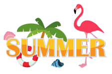 Flamingo Summer Vacation Background
