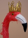 Flamingo Wearing A Crown