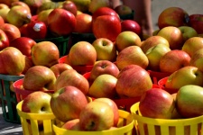 Fresh Apples For Sale