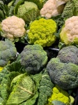 Fresh Broccoli And Cauliflower