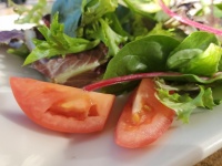 Fresh Lettuce And Tomato Salad