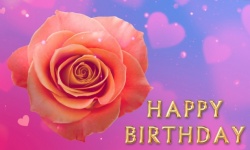 Birthday Card Flowers Rose Card