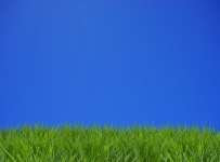 Grass Meadow Blue Sky