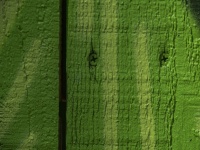 Green Painted Fence Texture