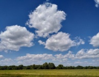 Sky Blue Clouds Field