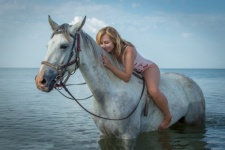 Horse, Girl, Woman, Bathing A Horse