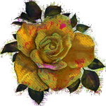 Single Rose Digital Art Png