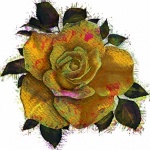 Single Rose Digital Art