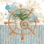 Watercolor Shell Planter And Wheel
