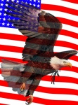 America Flag Eagle Poster