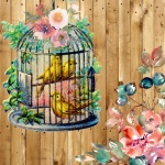 Vintage Canary Birdcage Image